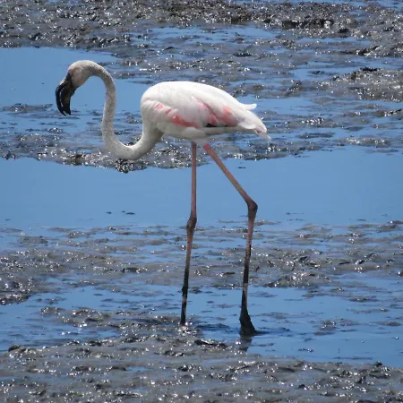 Hostal Aveiro Beach Hotel Aveiro
