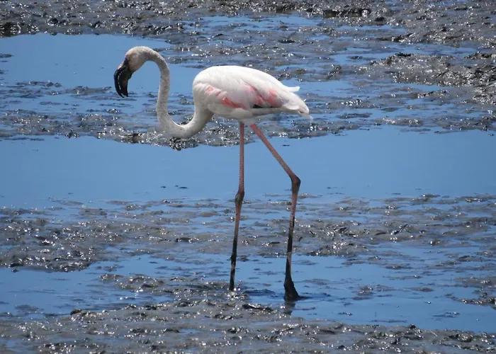 Hostel Vagueira Aveiro